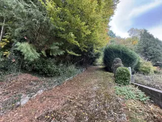 Wood for sale Dave (VBD41624)