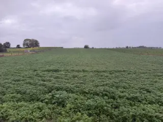 Landbouwgrond te koop Villers-Perwin (VBD41727)