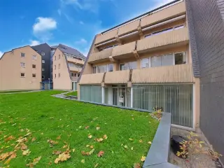 Handelspand te koop Aarlen (VBD41766)