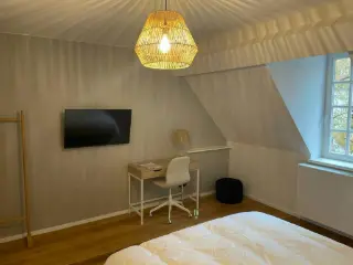 Apartment to share Brussels (VBD41869)