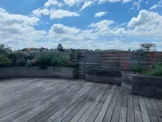 Appartement te huur Sint-Pieters-Woluwe (VBD42761)