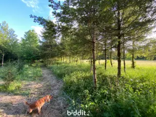 Terrain en vente publique Étalle (VBD43196)