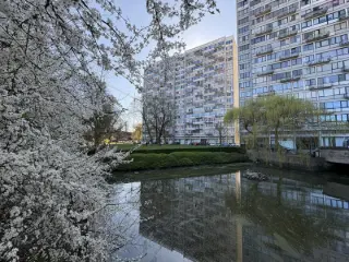 Apartment for sale Marcinelle (VBD43199)