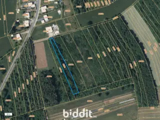 Terrain en vente publique Étalle (VBD43200)