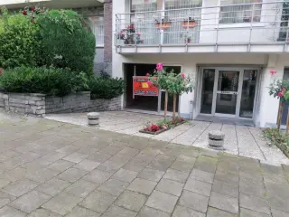 Surface commerciale à vendre Molenbeek-Saint-Jean (VBD43779)