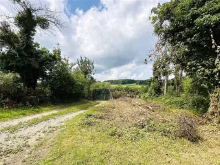 Land for sale Court-Saint-Étienne (VBD43837)