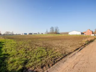 Terrain à vendre Cordes (VBD44037)