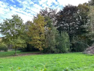 Terrain à vendre Hour (VBD44363)