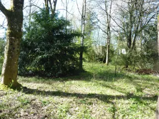 Grond te koop Heinsch (VBD44536)