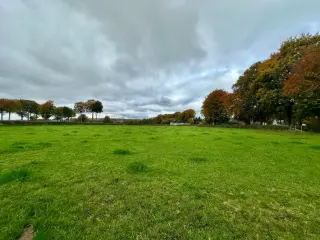 Land for sale Faymonville (VBD44643)