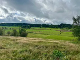 Land for sale Recht (VBD44831)