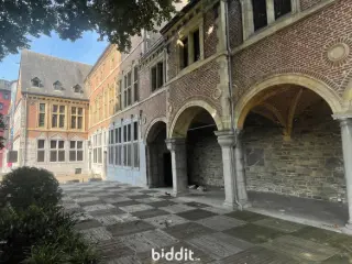 Master house in public sale Liege (VBD44905)