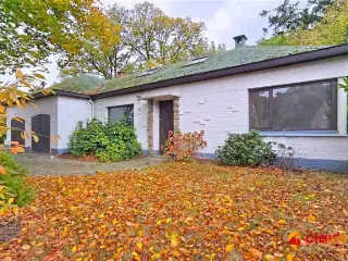 Maison à vendre Rhode-Saint-Genèse (VBD45028)