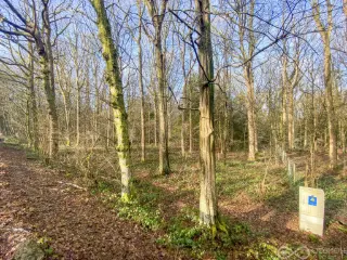 Bouwgrond te koop Aublain (VBD45563)