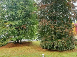 Studio à vendre Jette (VBD45731)