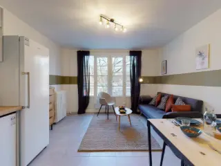 Apartment to share Lille (VBD46061)