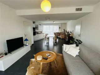 Apartment for rent Mons (VBD46381)