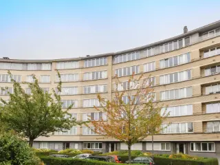 Gelijkvloers te koop Etterbeek (VBD46496)