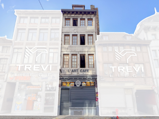 Opbrengsteigendom te koop Luik (VBD46515)