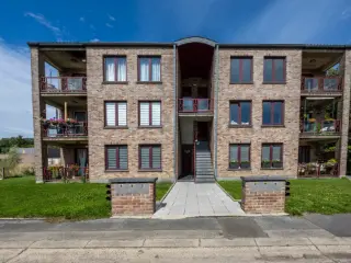 Mixed building for sale Bassenge (VBD47074)