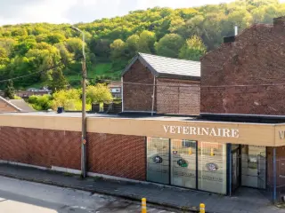 Surface commerciale à vendre Wandre (VBD47444)