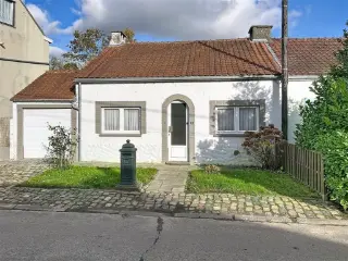 Maison à vendre Tourinnes-la-Grosse (VBD47946)