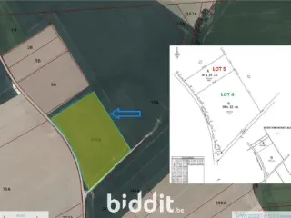 Terrain agricole en vente publique Oreye (VBD48162)