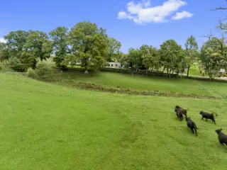 Huis te koop Herbeumont (VBD48493)