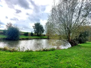 Grond te koop Écaussinnes-d'Enghien (VBD49205)