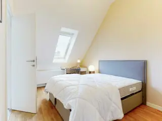 Apartment to share Brussels (VBD49635)