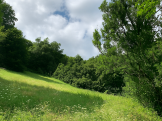 Grond te koop Forêt (VBD49662)