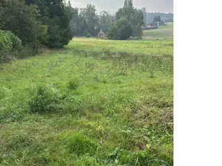 Land for sale Court-Saint-Étienne (VBD49666)