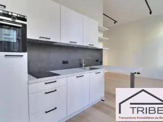 Apartment for rent Brussels (VBD49742)