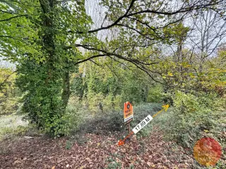 Terrain à vendre Flémalle (VBD49748)