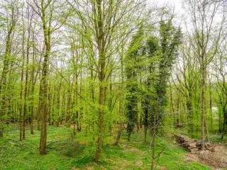 Grond te koop Walcourt (VBD50190)