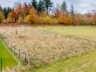 Grond te koop Vaux-sur-Sûre (VBD50670)