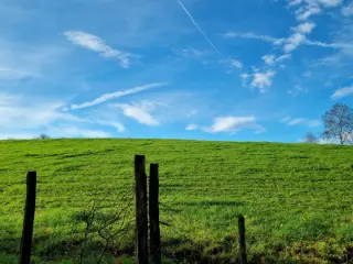 Land for sale Waimes (VBD50992)