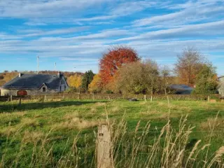 Land for sale Waimes (VBD50993)