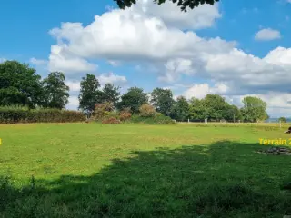 Land for sale Waimes (VBD50995)