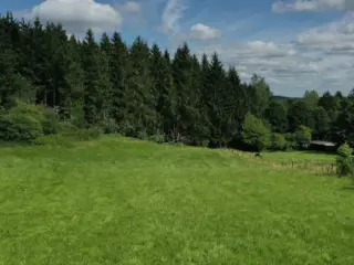 Terrain à bâtir à vendre Bullange (VBD51491)