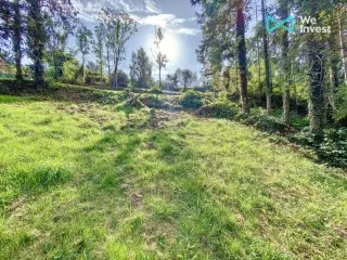 Grond te koop Sougné-Remouchamps (VBD52292)