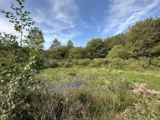 Andere te koop Carlsbourg (VBD52620)