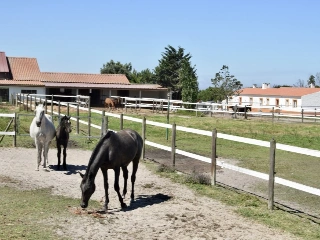Commercial building for sale S.Teotónio (VBD52813)