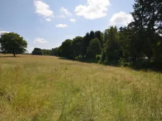 Land for sale Seloignes (VBD53136)