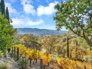 Residence for sale Calistoga (VBD53234)