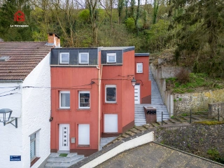 Opbrengsteigendom te koop Biesme-sous-Thuin (VBD56291)