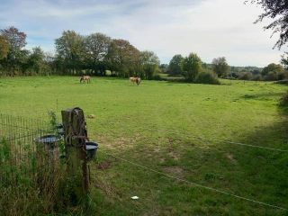 Grond te koop Momignies (VBD57359)