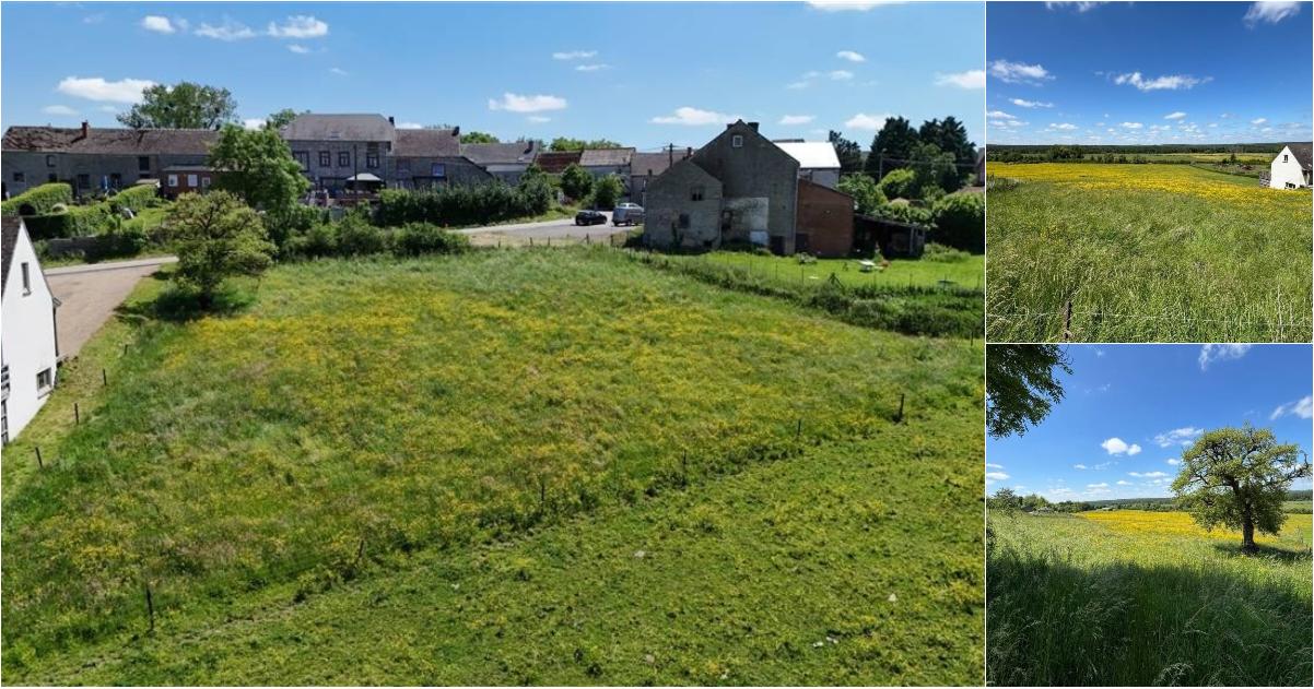 Terrain à vendre à Rue de Fombay Doische (VBD72293) - Aanzicht 2