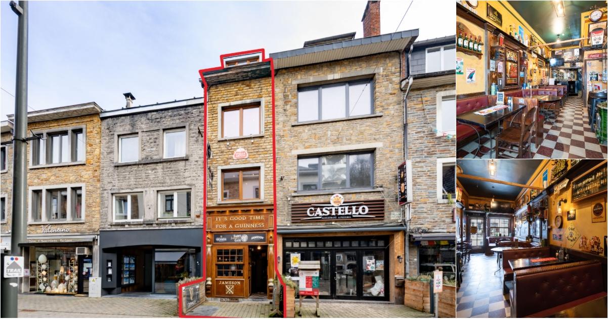 Bien immobilier à vendre - La Roche-en-Ardenne. Immovlan