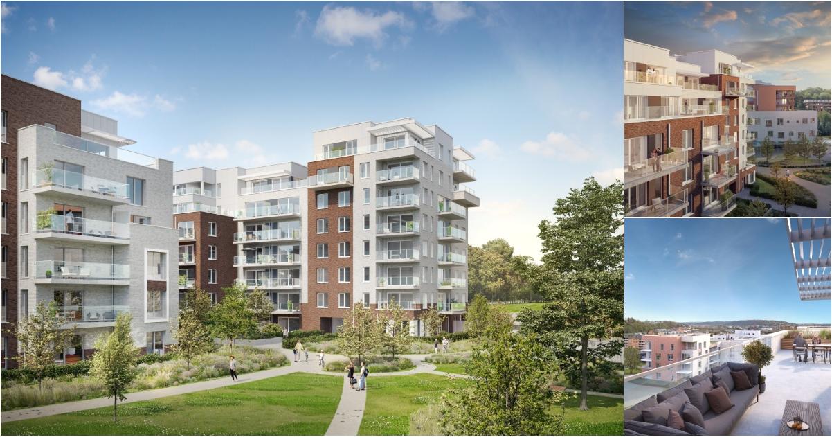 2 studios à vendre - Jambes (5100) dès 220 000 euros | Immovlan